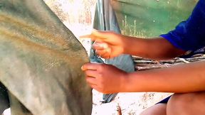 Just in village kitchen
