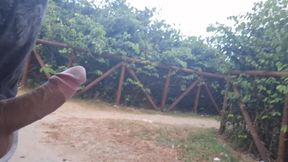 Risky handjob in public gets me caught cumming in broad daylight
