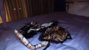 Cougars get creampied on New Year's Eve night