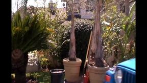 American Whores!!! - Episode 03