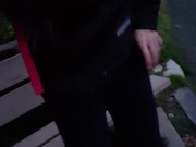 Public Piss On The Park Bench