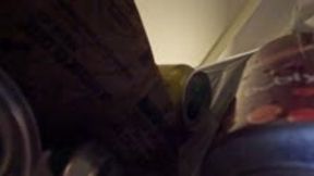 Teenie Sneaking into Giantess Trash POV 4K smaller