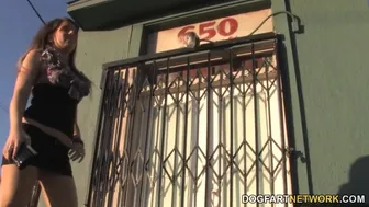 Mona Lee Takes Interracial BBC Anal and DP Action