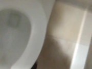POV Peeing and Flushing & Unzipping and Zipping One-Handed n A Stall; No Audio