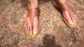 Double Bigger Pair Size 11s