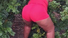 crente safada colhendo frutas