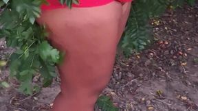 crente safada colhendo frutas