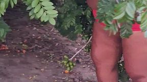 crente safada colhendo frutas