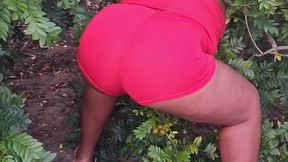 crente safada colhendo frutas