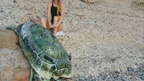 Alla inflates a large inflatable turtle on the beach with a hand pump!!!