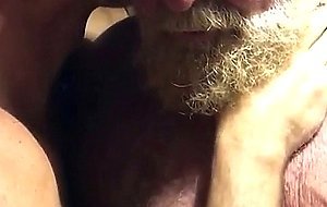 Hairy bears passionate kissing