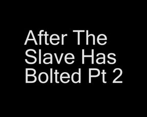 After the slave has bolted Pt 2