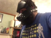 halloween pup clip
