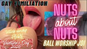 Valentine's Day Nuts about NUTS Ball Worship JOI Gay Humiliation