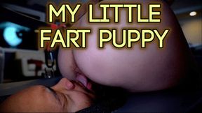 My LIttle Fart Puppy (HD 1080P MP4)