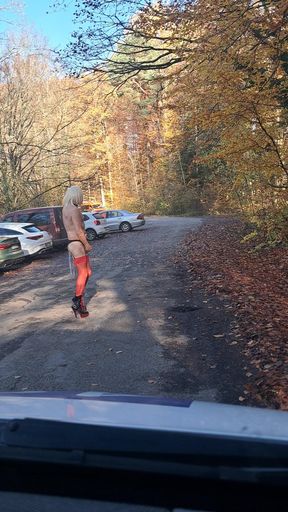 Presented on parking lot