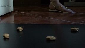 summer sandals licking with Alice