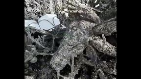 Have you ever visited the stunning White Temple in Chiang Rai?  It'_s absolutely taking and definitely belong...