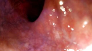 Get up close and personal with TheoreticalTop's kinky anal vore antics