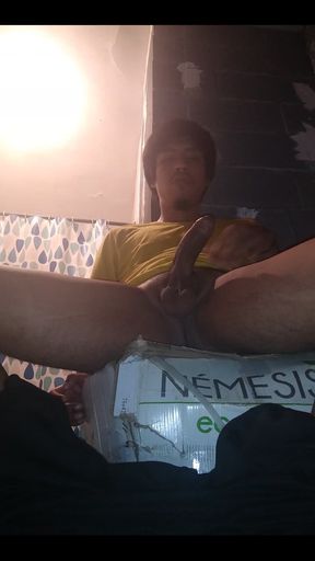 A Few Quick Jerks in the Toilet