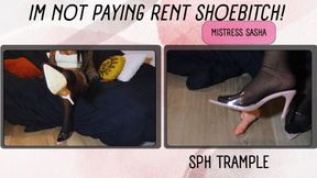 Im not paying rent Shoebitch