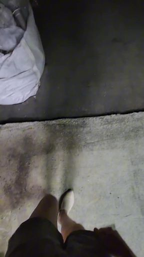 Shemale Ting Xuan masturbates in the outdoor toilet.   Clip 2