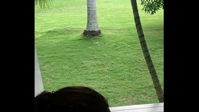 Culiada en Hosteria Santa Fe de Antioquia