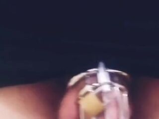 24/7 Caged cuck (mastix's say u can comment permission to cum if u're female...please!!!