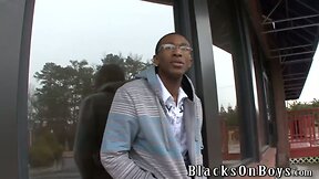Gemini Star Learns To Take A Big Black Cock