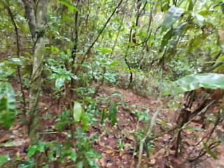 Amateur Thai villagers have sex in the forest public 4K 18