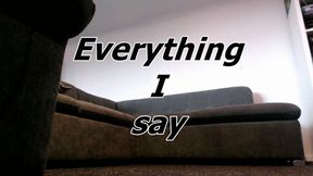 Everything I say (AVI)