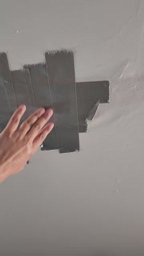 Pornography, squirrels, construction equipment, and flowers.