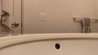 18 Latina stepsister