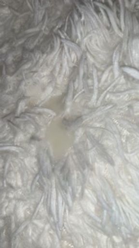 pool party-close up great small tits and creamy pussy creampie