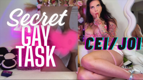 Secret Gay Task CEI JOI