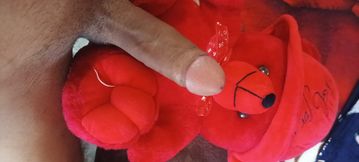 Girlfriend said no so i fucked her teddy