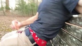 Jerking off in Park on the Bench