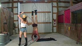 Aleana's Suspension Whipping