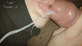 Real close-up blowjob! Her plump lips are immaculate  Ponri