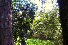 Interracial Pole Smoking Parade - Lust Across All Colors