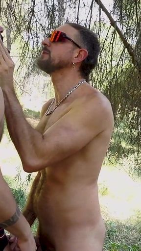 Cruise in the Forest