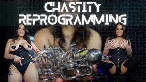 Chastity Reprogramming