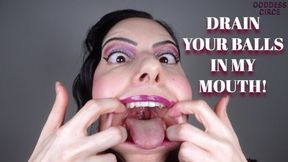 DRAIN YOUR BALLS IN MY MOUTH! (Video request)