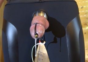Electrostimulation  - milking cum