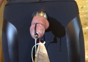 Electrostimulation  - milking cum