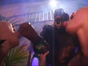 We like to fuck like that, wildly