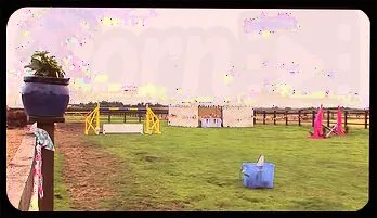 Anaya Leon British Orgy Party – Big Tits & Cumshots Recommended