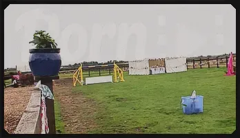 Anaya Leon British Orgy Party – Big Tits & Cumshots