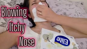 Nose Trumpet in bed