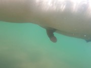 I cum just for the pleasure of feeling free, naked on a public beach